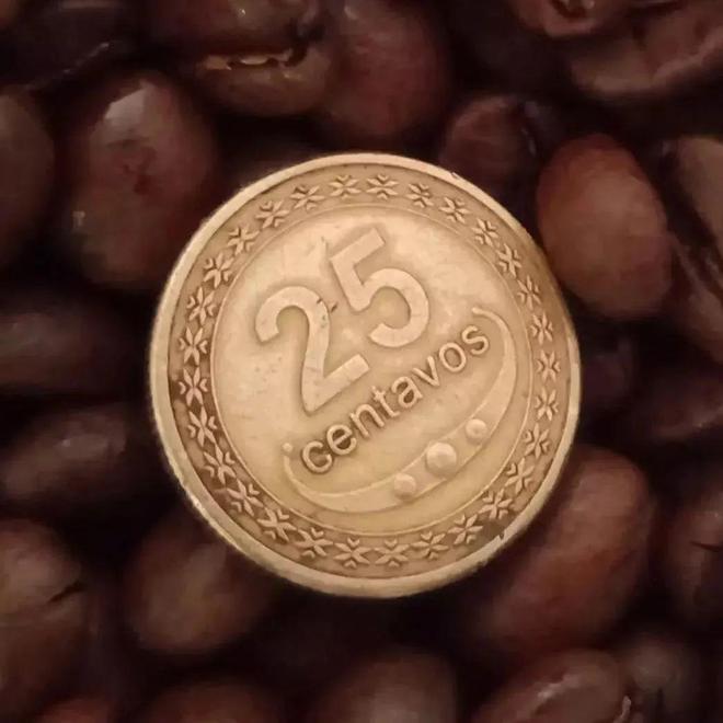 tAhQa5d555ydXaYV.jpg